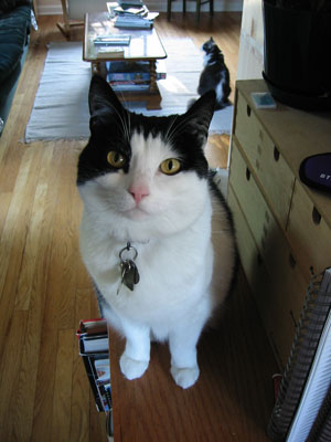 is it dinnertime NOW?
