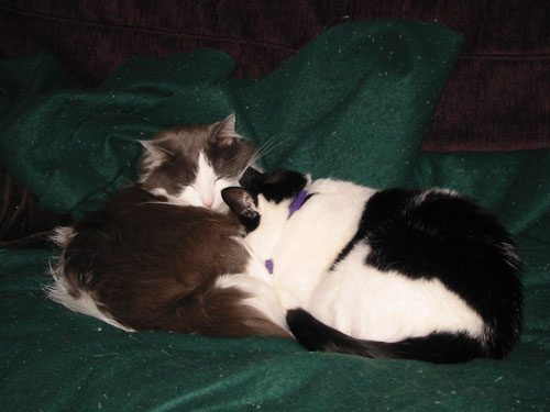 awwwwwww.