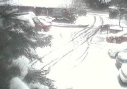 snow!
