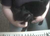 black cats are hard to take pictures of.